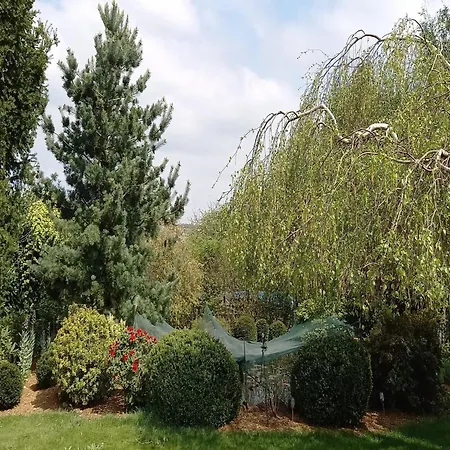 Paula In Im Hunsrueck Tatil Evi