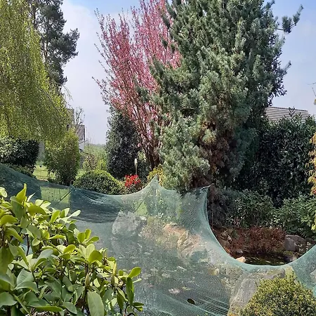 Paula In Im Hunsrueck Tatil Evi Haserich