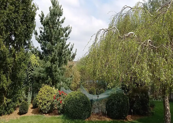 Paula In Im Hunsrueck Casa de Férias