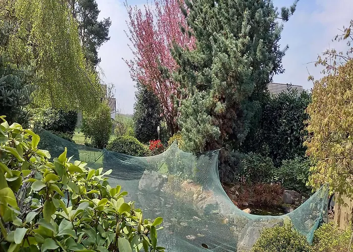 Paula In Im Hunsrueck Casa de Férias Haserich